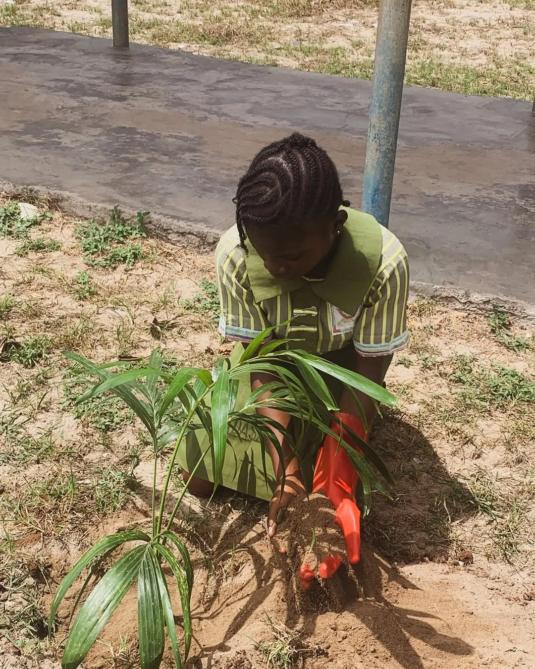 Tree Planting Exercise in partnership with LASEPA