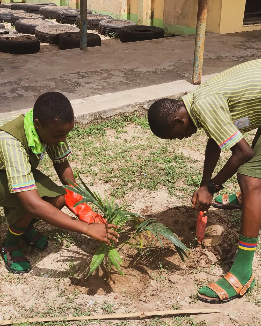 Tree Planting Exercise in partnership with LASEPA